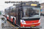 IMG_20240419_045905_669.jpg