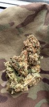 IMG_8373.jpeg