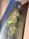 IMG_0306.jpeg