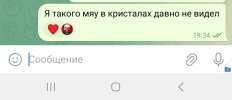 Screenshot_20250603_194214_Telegram.jpg