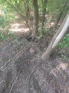 IMG_20250727_160233.jpg