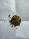IMG_0651.jpeg