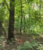 IMG_20200806_180937_714~2-min.jpg