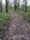 фото пустого клада.jpg