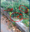 Снимок экрана 2021-11-12 в 23.30.12.png