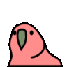 kal1nka